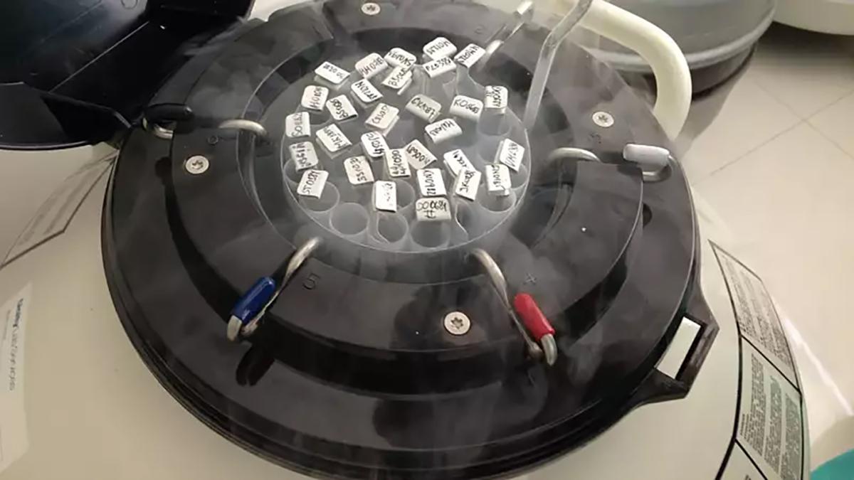 A cryogenic embryo chamber